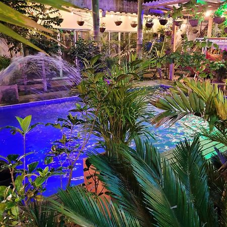 Hostal Hilltop Salento Exterior foto