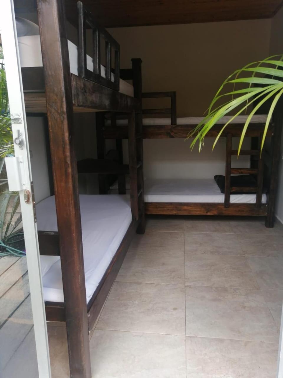 Hostal Hilltop Salento Exterior foto